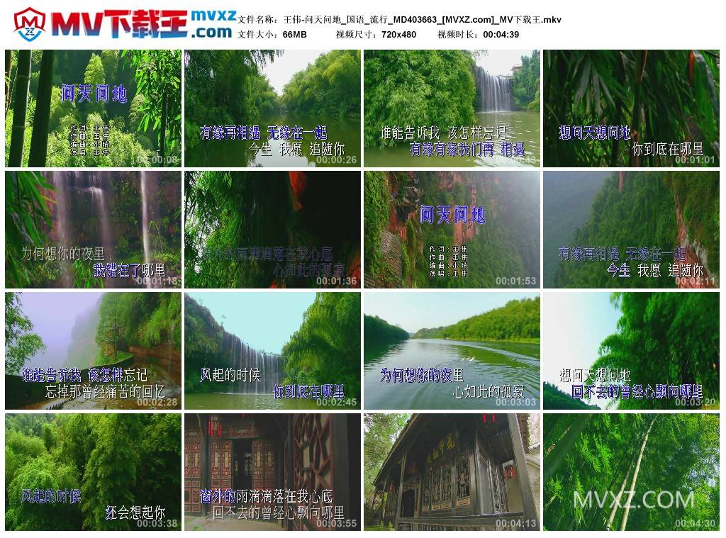 王伟-问天问地_国语_流行_MD403663